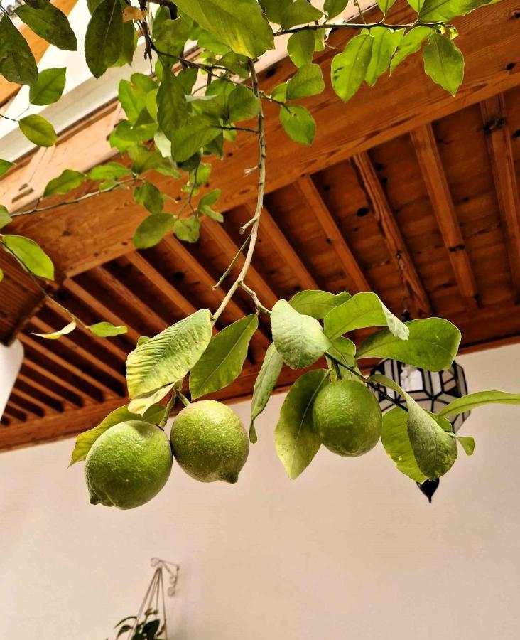 Riad Samah Marraquexe Exterior foto